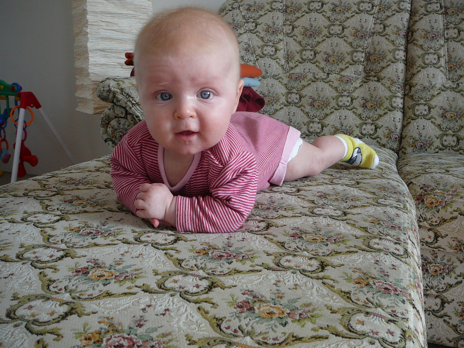 P1000794.JPG